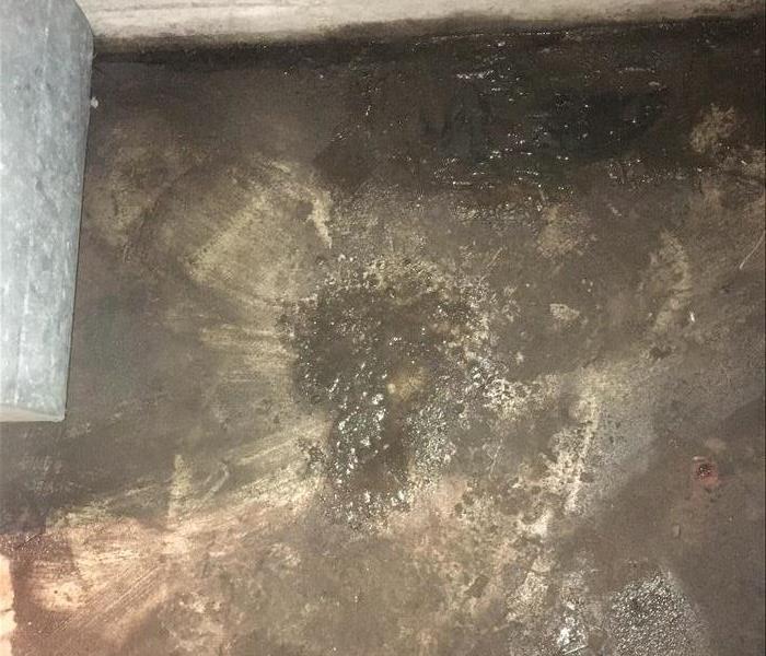 Sewage on concrete basement floor