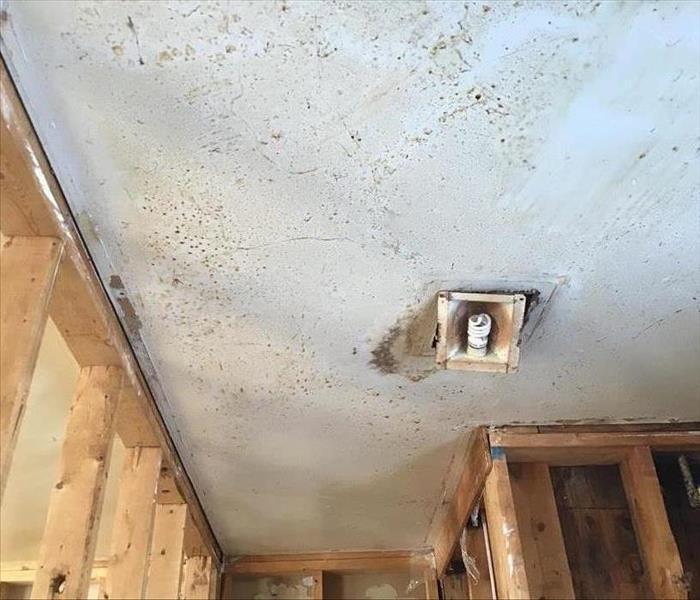 Ceiling covered in dirt and junk