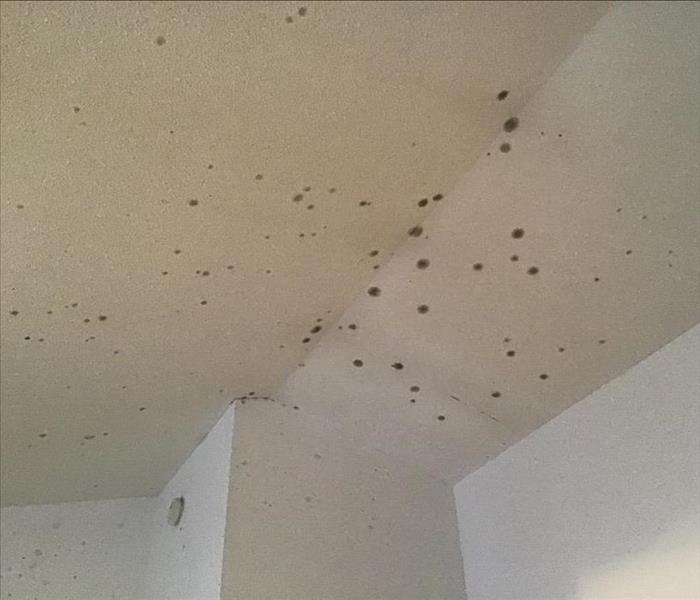 Visible mold on walls and ceiling.